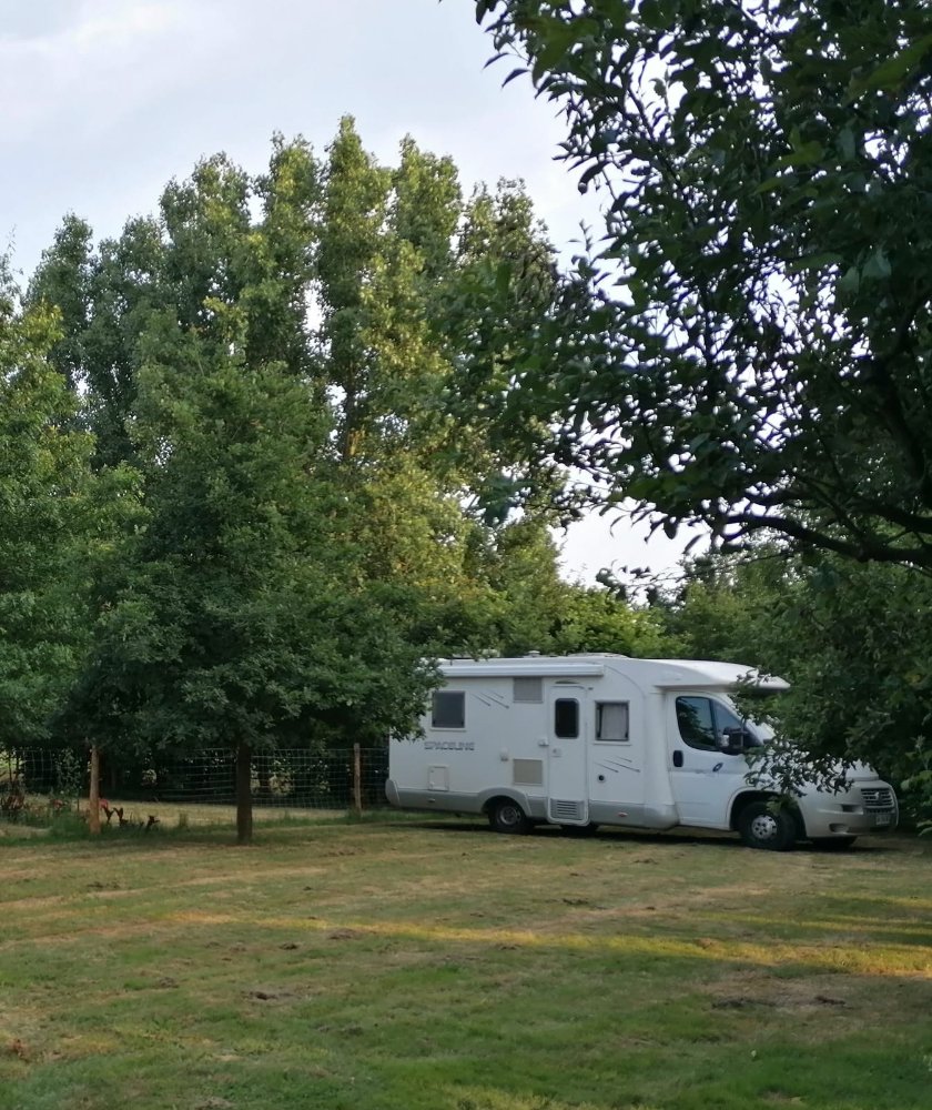 Aire camping-car  Saint-Andr-Goule-d'Oie (85250) - Photo 5